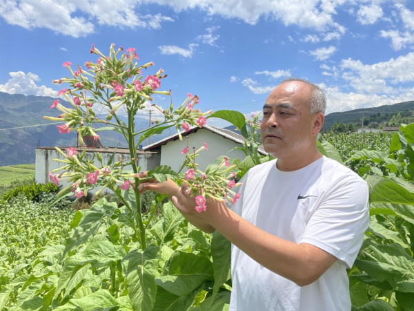 郑传刚