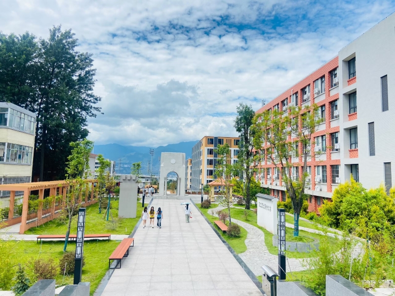 杨仁琴2 杨仁琴2