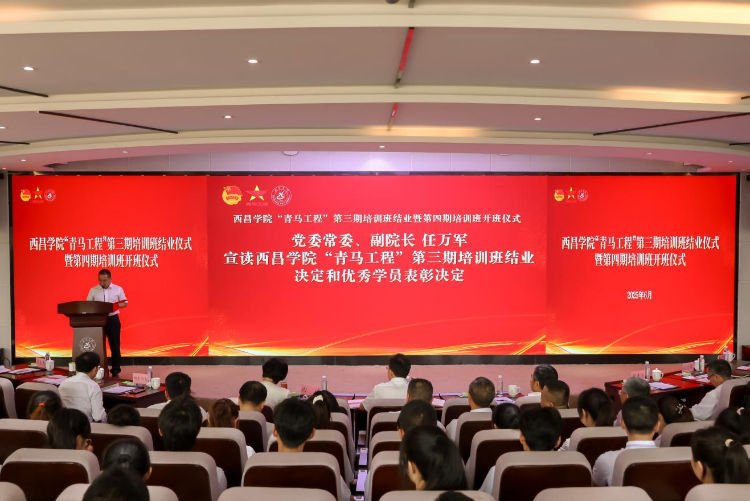 图片6
